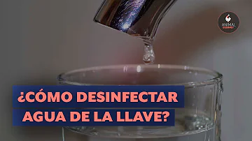 ¿Cómo puedo esterilizar el agua en casa?