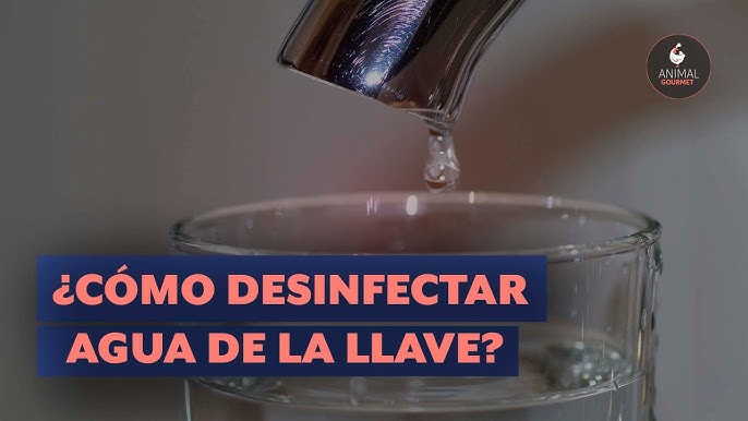 Hervir el agua la purifica?