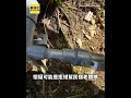 清境露營區遭民宿員工闖入破壞 營主.業者互槓 #shorts