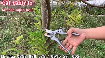 Em tes thử dòng kéo sk5 Japan,keoa này có chế độ tự mài,và có chống trượt.chọn chuẩn loại 1 nha bác.