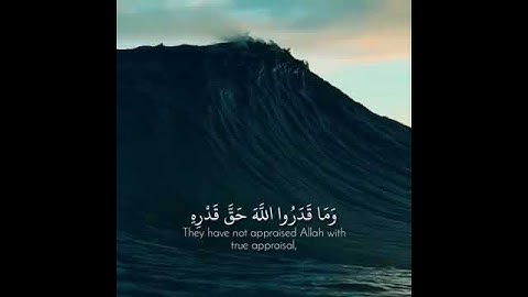 القارئ - عمر الدريويز سورة الزمر {وما قدروا الله حق قدره}