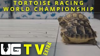 Tortoise Racing World Championship