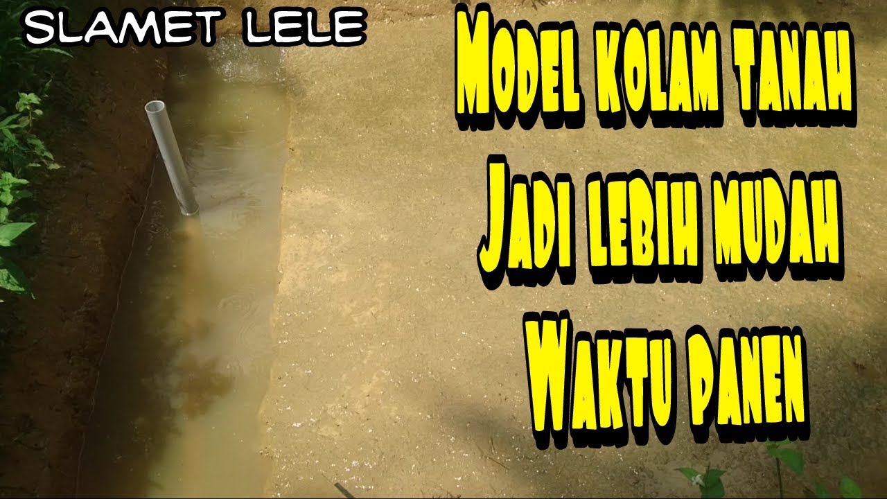Pembuatan Kolam Lele Tanah 