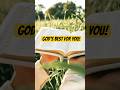 God’s Miraculous Provision! Psalms 81:16 Explained | Honey from the Rock Blessing
