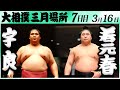 大相撲　宇良ー若元春＜令和６年三月場所７日目＞SUMO