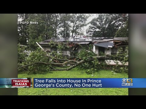 Tracking Isaias: Storm Damage Reported Across Parts Of Maryland