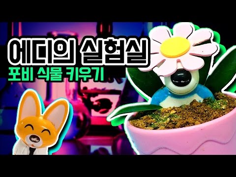 ♥쑥쑥자라나라 포비야!!♥에디의 신기방기 실험실#1☆말도안돼! 포비를 키운다구?!??!★ 뽀로로 장난감 애니 Pororo Toy Animat 보니티비보니