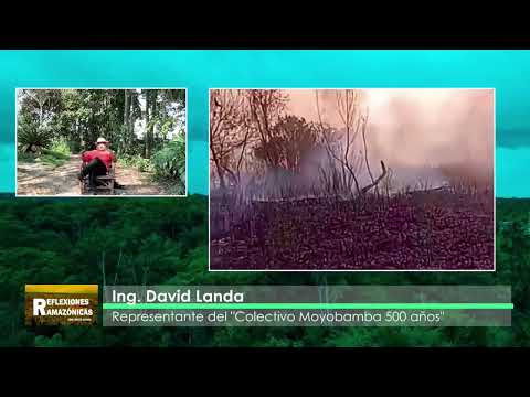 ¿QUÉ HACER FRENTE A LOS INCENDIOS FORESTALES Y SEQUÍA EN LA AMAZONÍA?