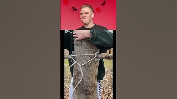 Try Not To Laugh 🤣 1852 #funny #viralvideo #shorts