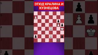 💥СМЕРТЕЛЬНЫЙ РЕНТГЕН #chesspuzzle #шахматныезадачи #шахматы #chess