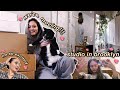 i moved hehe ♡ brooklyn moving vlog ♡