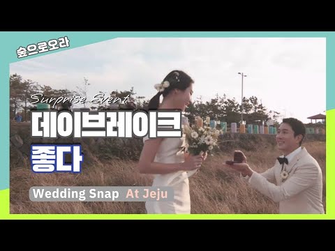 [숲으로오라] 데이브레이크​  3) 좋다