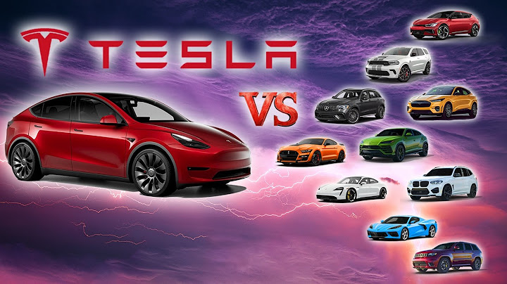 Every Race We Did in Our Tesla Model Y Performance