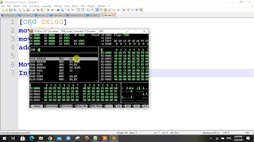 How to run assembly language program in DOSBox