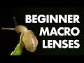 12 Best Beginner Macro Lenses