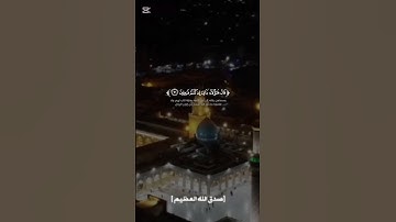 أفضل تلاوة القرآن الكريم بصوت جميل 🤍 اللهم اجعل القرآن ربيع قلوبنا ونور صدورنا #quran #المصحف