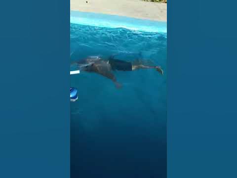 La foca humana - YouTube