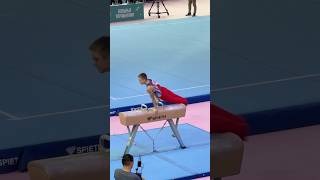 Mag Pommel Horse Gymnastics At Its Best Skill And Style Perfectly Blended