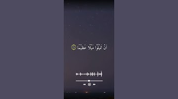 سورة النساء - القارئ سعد الغامدي