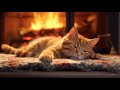 24 hours relax music and along with a soundly sleeping cat and a cozy fireplace 