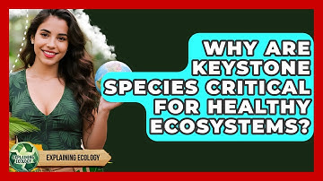 Why Are Keystone Species Critical For Healthy Ecosystems? - Explaining Ecology