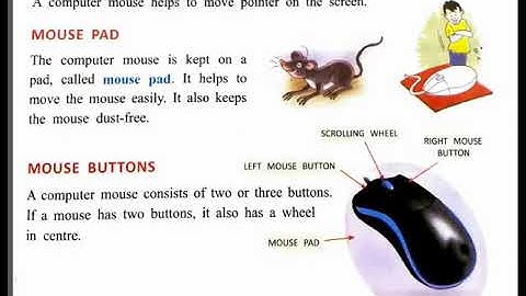 Std 1 Computer Ch 4 Identify computer mouse and its buttons & Hold t he mouse properly Part 1