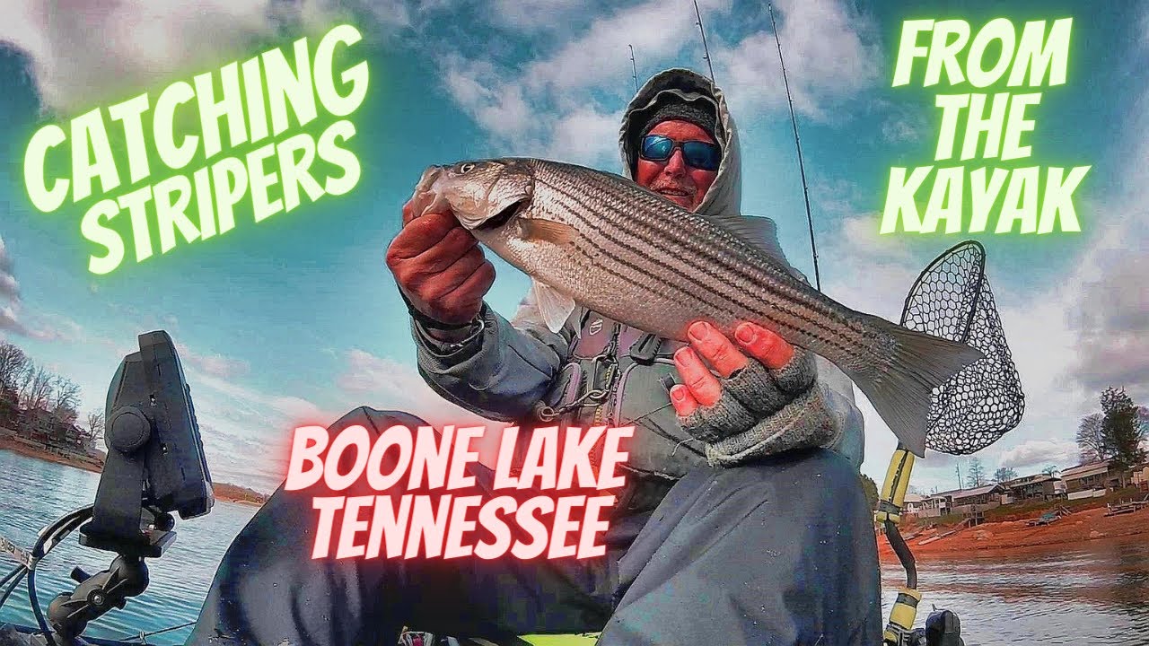 Catching Stripers from The Kayak BOONE LAKE Tennessee BigBaitPosse