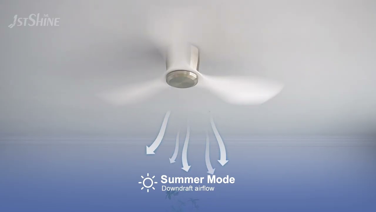 Modern Ceiling Fan 48'' Plastic Blades DC Motor Dual-Function Model with Optional Light Kit