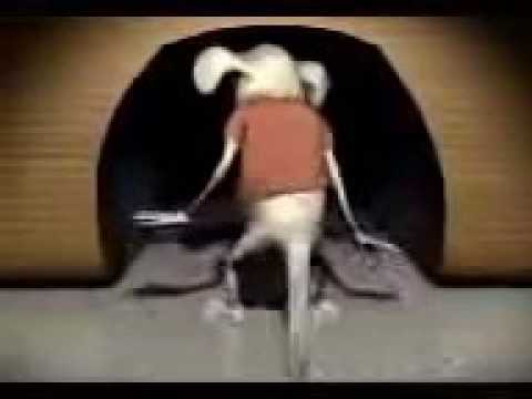 Bhande Kali Kara Lo Subscribe