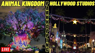Live Disneys Animal Kingdom To Hollywood Studios Fantasmic 930Pm At Walt Disney World 11252025