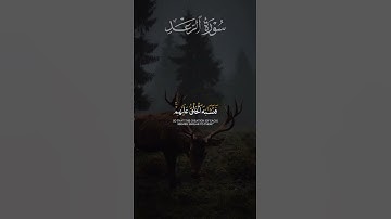 ما تيسر من سورة الرعد ｜ القارئ خالد هليل العنزي ｜ قرآن كريم