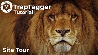TrapTagger: Site Tour
