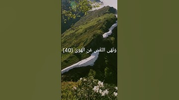 حالات واتس أب 🖤 قرآن كريم 🖤 القارئ رعد الكردي🖤🌿