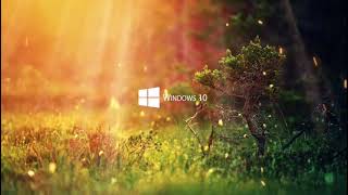 Best Ultra HD Live Wallpaper for Windows 10 | Aesthetic PC Setup 🌿✨
