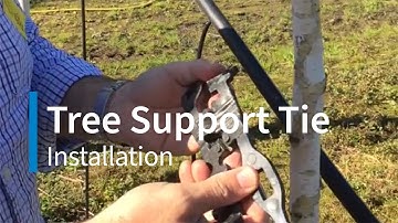 How To Install Tyne Tree Support Ties