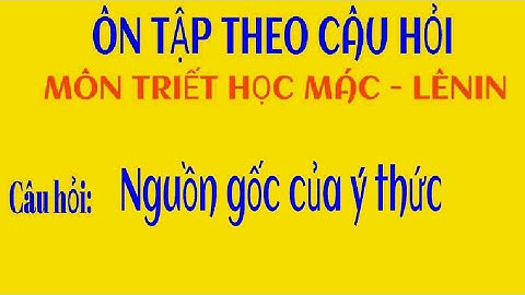 [11] - Phân tích nguồn gốc của ý thức