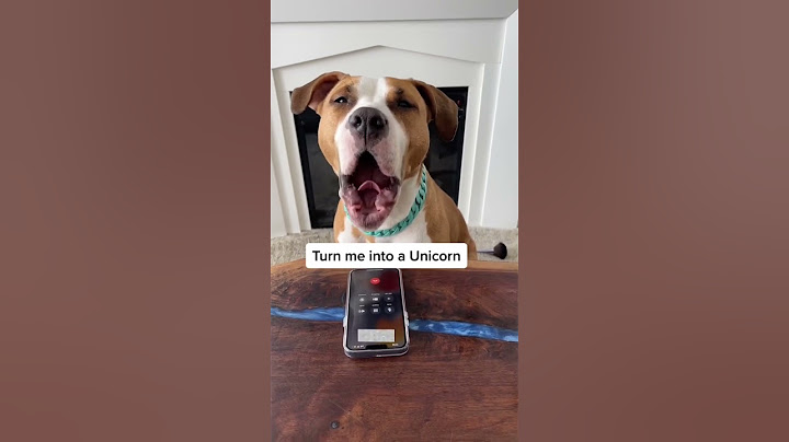 Dog prank call a pet groomer!! So funny 😂 #shorts #shorts30