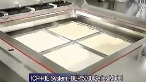 ICP-RIE System by SNTEK Co., Ltd