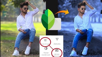 Snapseed - Just 3  steps Dark And Blue Effect edit || snapseed photo editing 2021