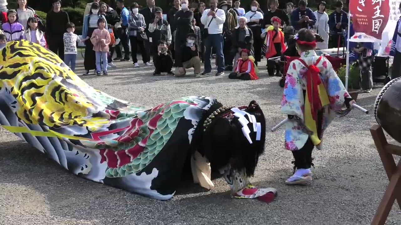 獅子舞 明見獅子組 流石讃岐の獅子舞 2025獅子舞王国さぬき - YouTube