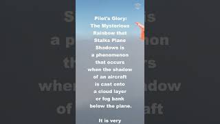 Pilot&#39;s Glory phenomenon during landing at Amsterdam #shorts #airplane #landing