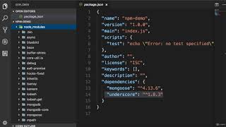 6  NPM Packages and Source Control
