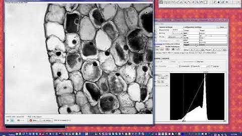 XY Tracking with ASIs XYZ Tracker Plugin for MicroManager (#3)