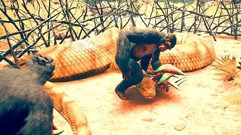 Try To Capture African Rock Python But Something When Wrong