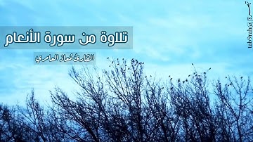 تلاوة من سورة الانعام | القارئ مُعاذ علي العامري