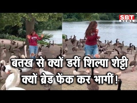 वीडियो: बतख शूर्पा - पूरे परिवार के लिए एक अद्भुत व्यंजन