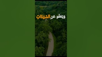 وهو الذي يقبل التوبة عن عباده | سورة الشورى |القارئ:اسلام صبحي #quran #قرآن #قرآن_كريم