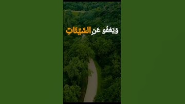 وهو الذي يقبل التوبة عن عباده | سورة الشورى |القارئ:اسلام صبحي #quran #قرآن #قرآن_كريم