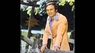 Saban Saulic - Kad ljubavi dodje kraj - ( 1976) HD Resimi
