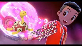 Where To Get Hidden Ability CONTRARY SHUCKLE - Pokemon Sword and Shield